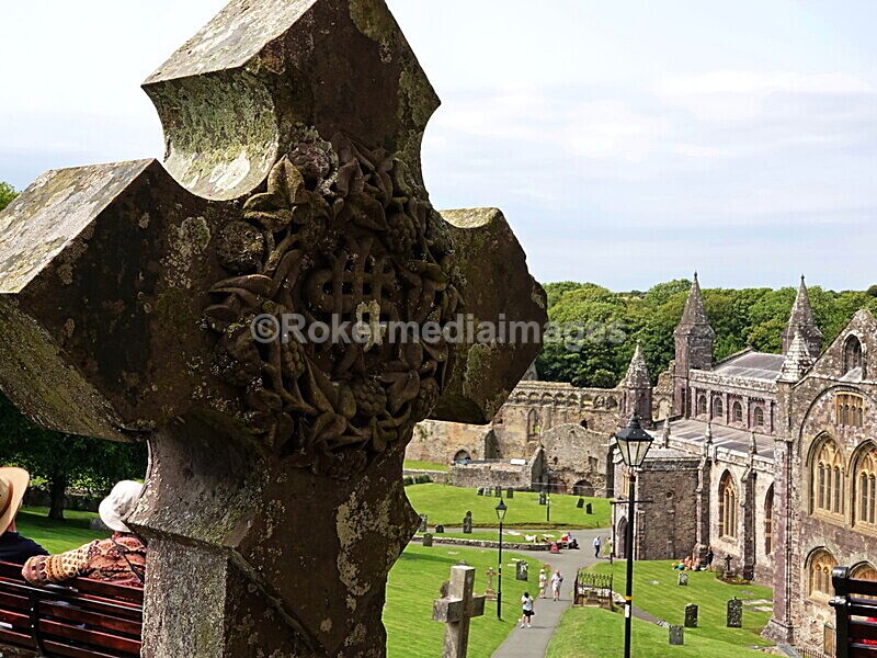 DSC00453 - Skomer 2019
