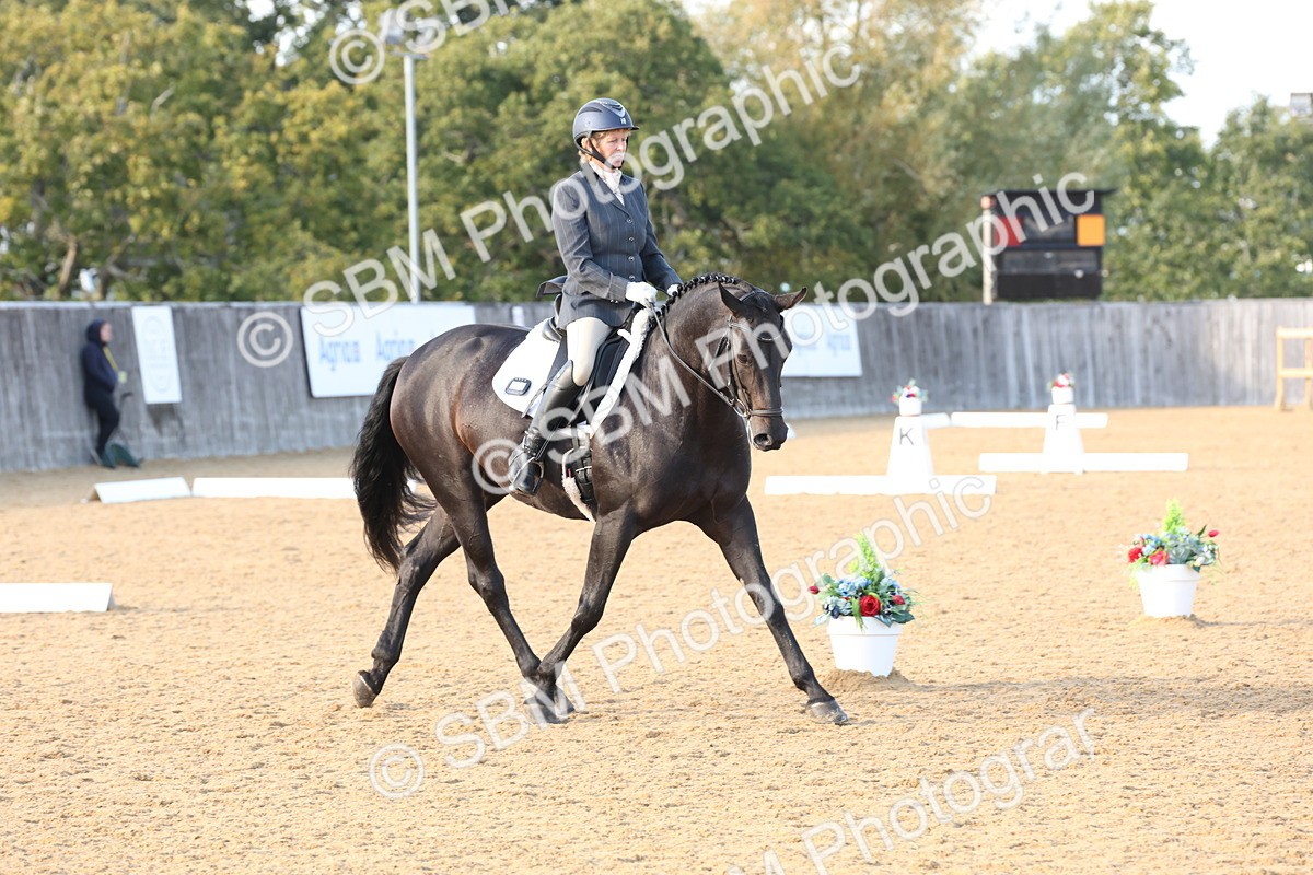 SBM_28256 - D20 - Grand Tour Championship Elementary 3