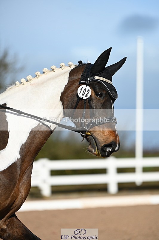 240323A-091113-00872 - MyQuest Intro A