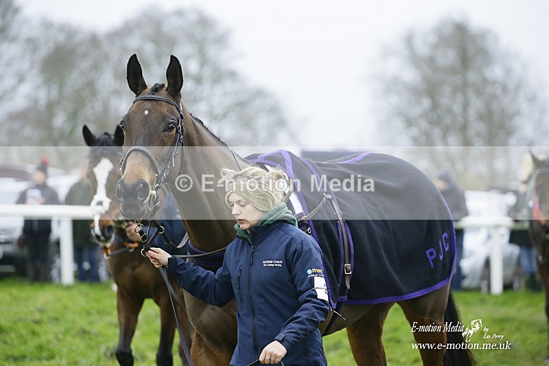 PtP 200222 547 - Countryside Alliance PtP Badbury Rings 20/02/22