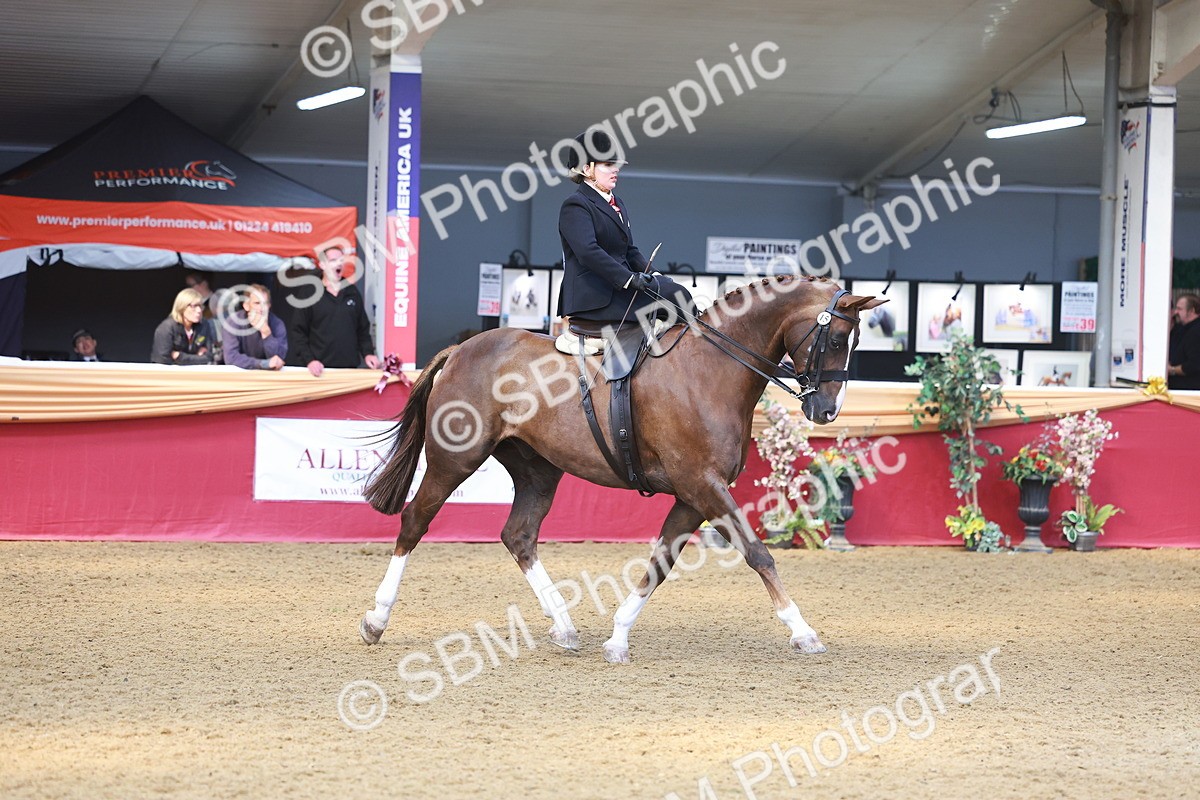 SBM_12553 - Class 103 - HOYS Veteran Qualifier - Ridden Pre Vet
