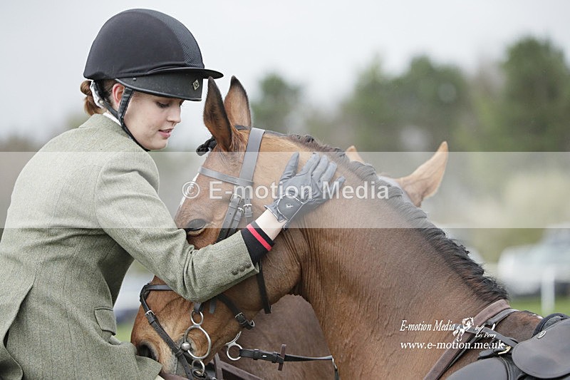 PtP 260323 0646 - New Forest Hounds Point-to-Point Larkhill 26/03/23