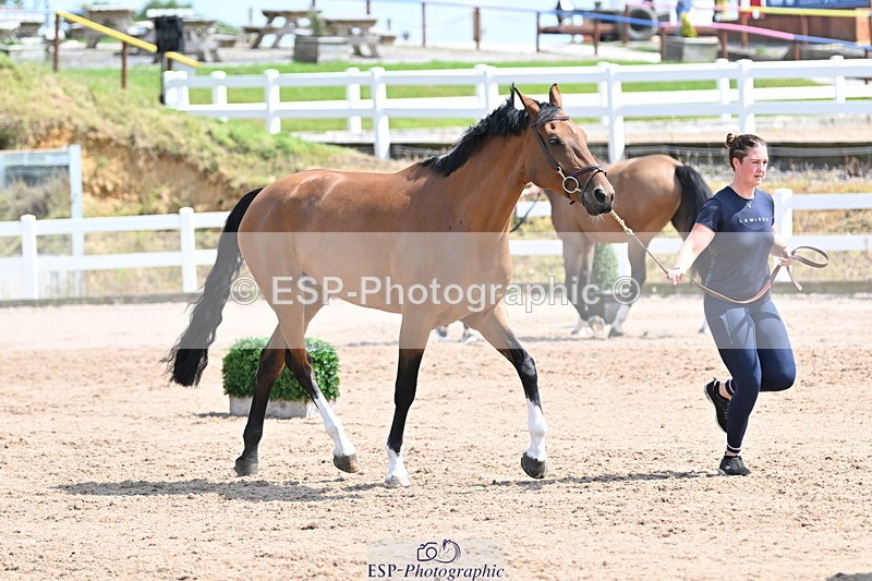 240717A-150427-02505 - Trot Up 3pm to 4pm