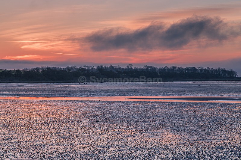 Low Tide, Budle Bay, Northumberland - Dawn to Dusk