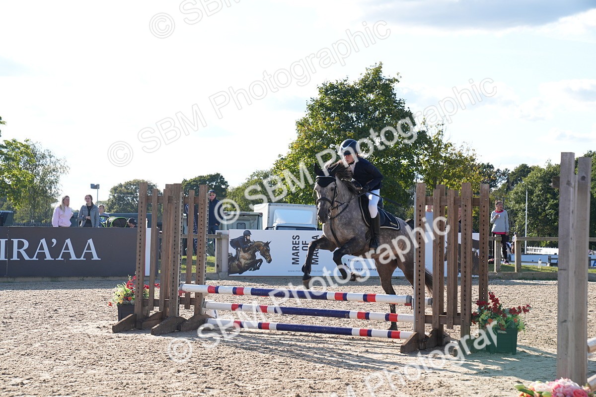 SBM_27987 - J43 - Super Speedy Scurry Open - 60cm