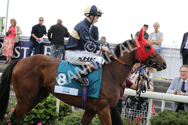 yr18082022r6-14 - Race 6 4.45 pm OR8wellness ebfstallions Nursery Handicap