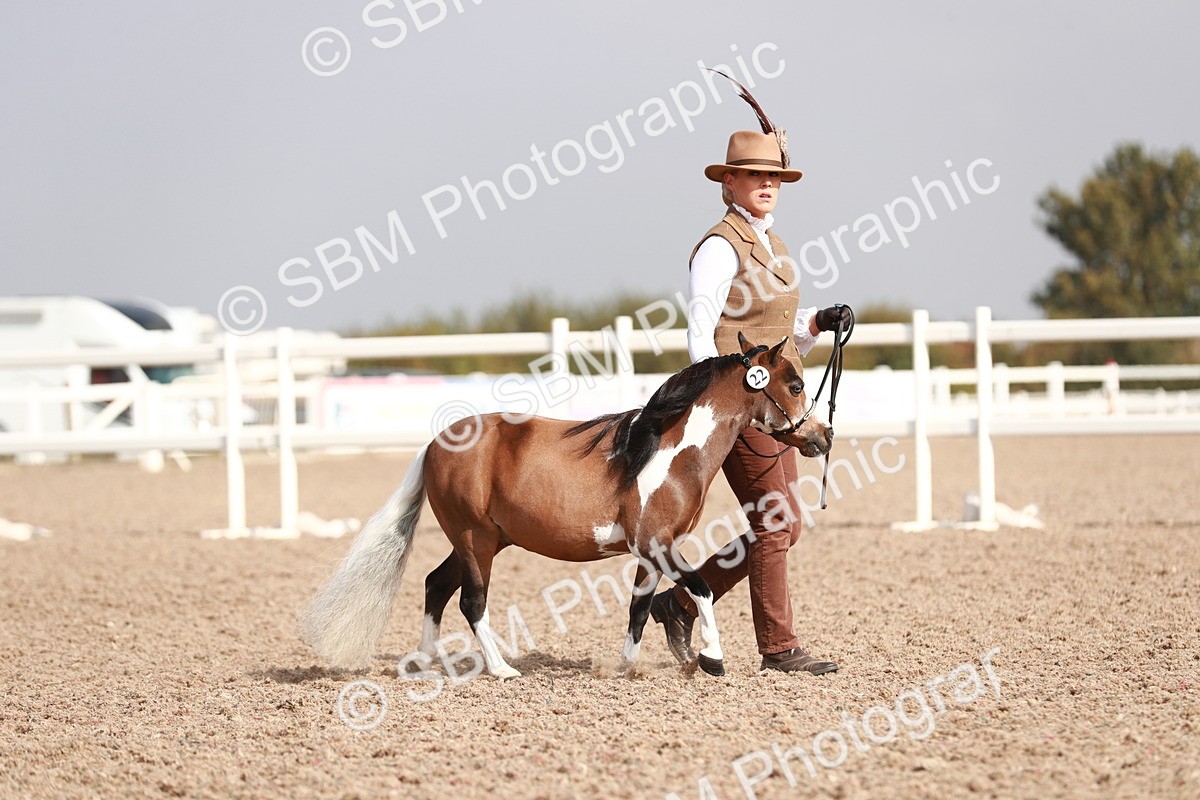 SBM_11756 - Class 206 IH Non Show Type Pony