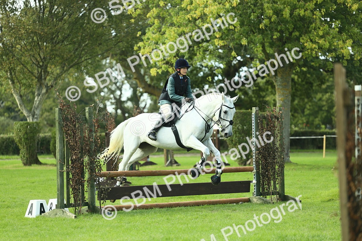 SBM_50602 - S33 - Working Hunter & Working Show Horse