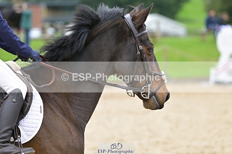 240929-122334-00608 - Cls 2 80-85cm 12.15 to End