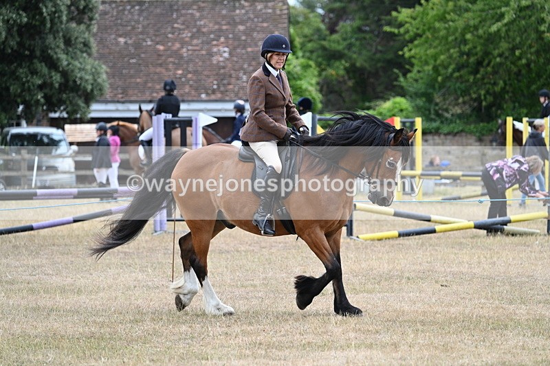 WJ7_0527 - Class 6 Ridden Mountain and Moorland