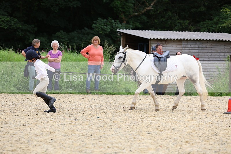 3E7A9623 - Walk trot run