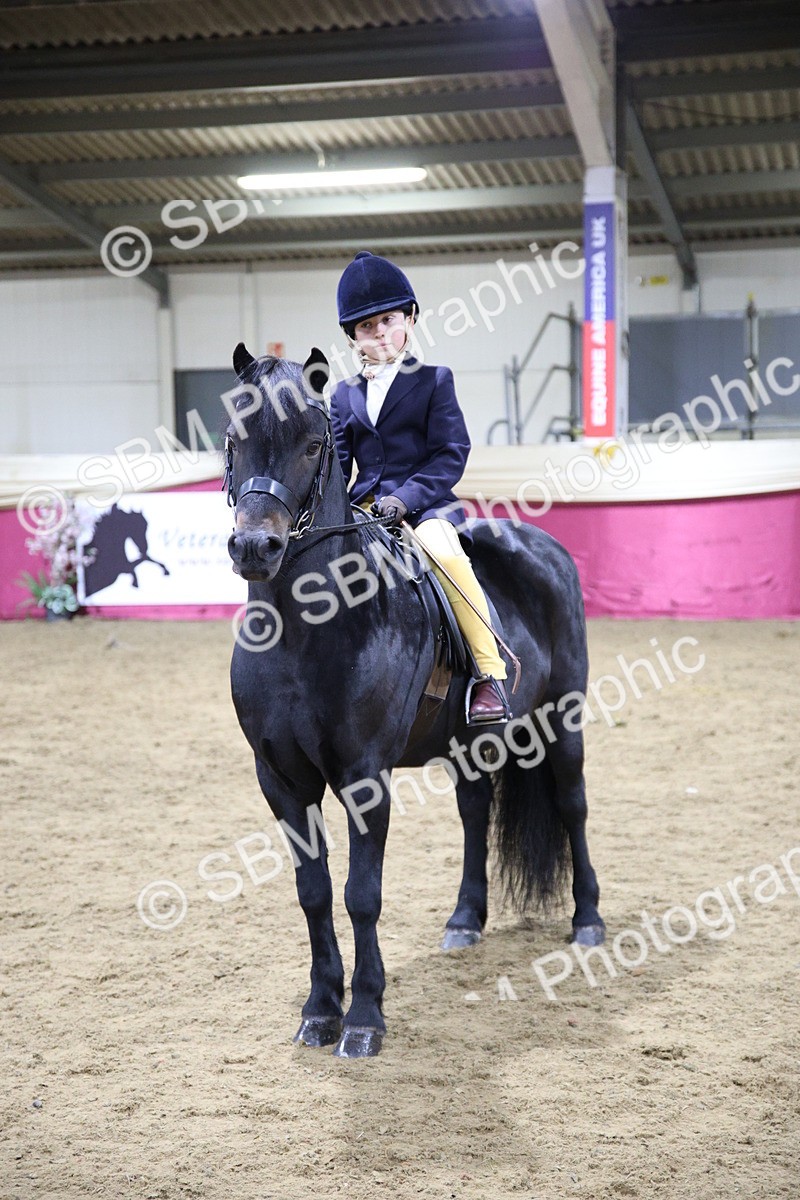 5K7A1608 - Class R Working Veteran Champ