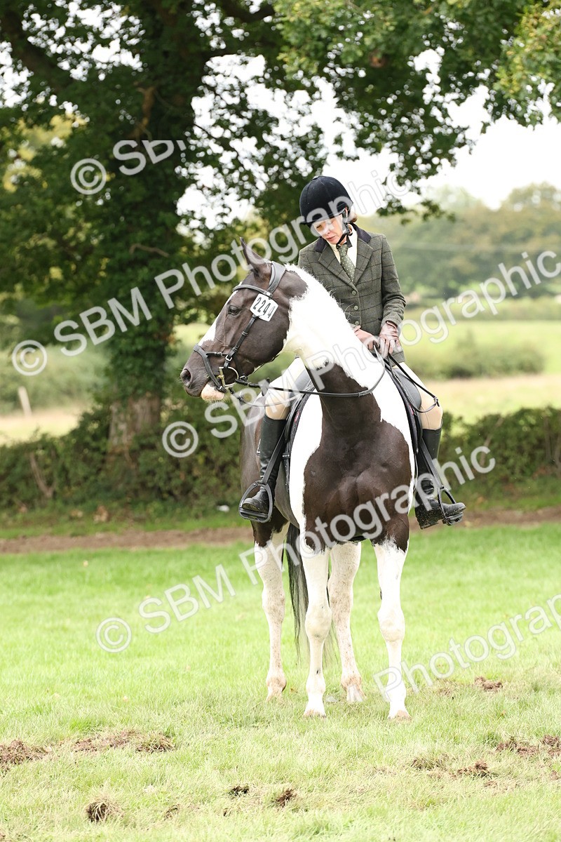 SBM_67299 - S67 - Piebald & Skewbald Horse Ridden