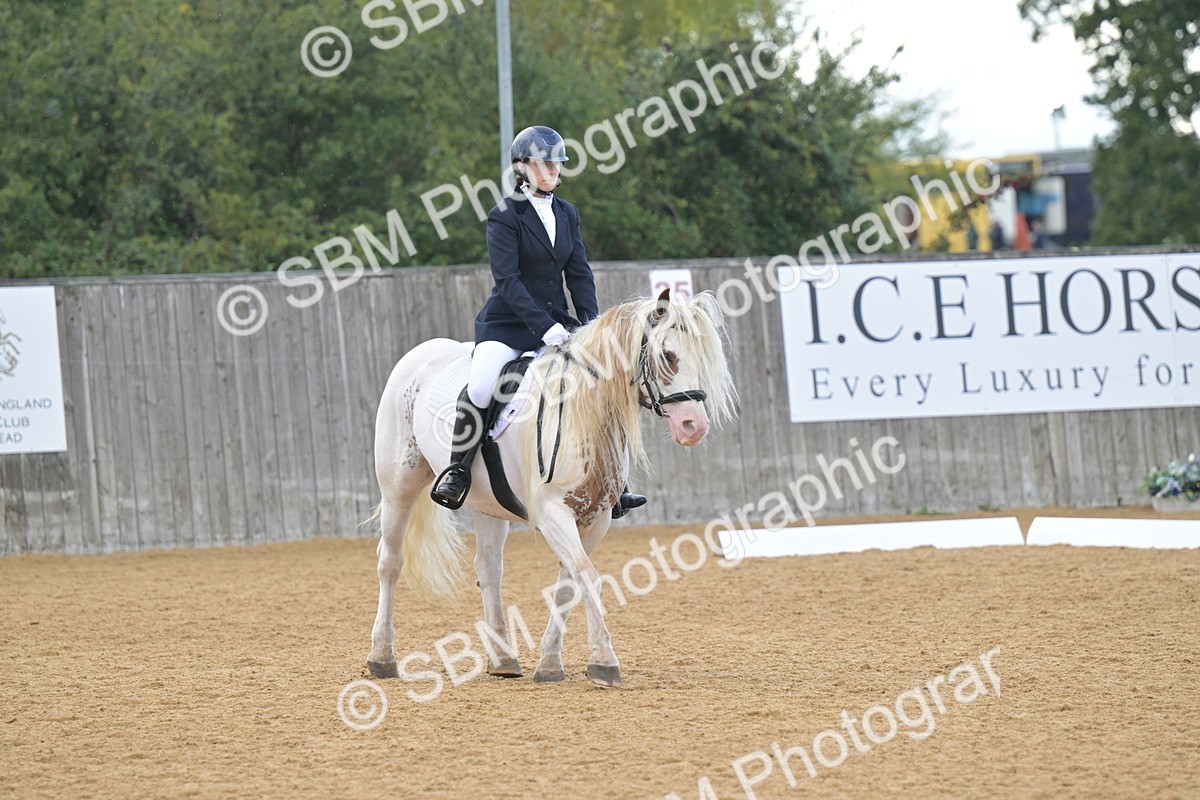 SBM_11196 - D3 - Small Tour Championship Intro 3