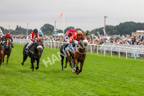 080924-Race 6-Northern Spirit-4563 - Race 6 4.35pm Hanson Springs Handicap