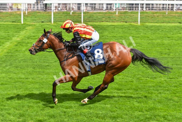 yr08072022r2-31 - Race 2 2.40pm William Hill Summer Stakes