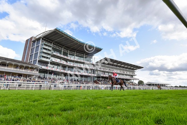 230824-Race 4-Bradsell-4323 - Race 4 3.35pm Coolmore Wootton Bassett Nunthorpe Stakes