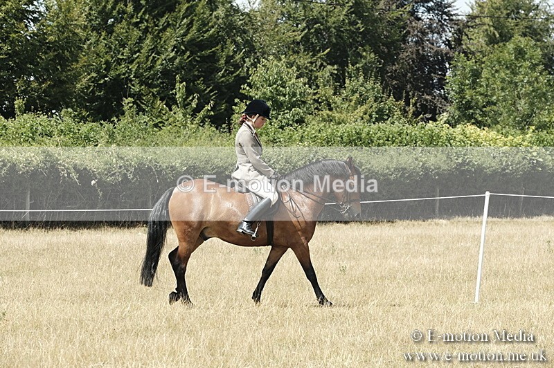 _PJP5963 - BVRC Show 2018 Ring 1