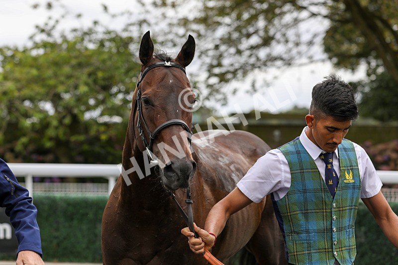 250824-Race 2-Ludos Landing-9374 - Race 2