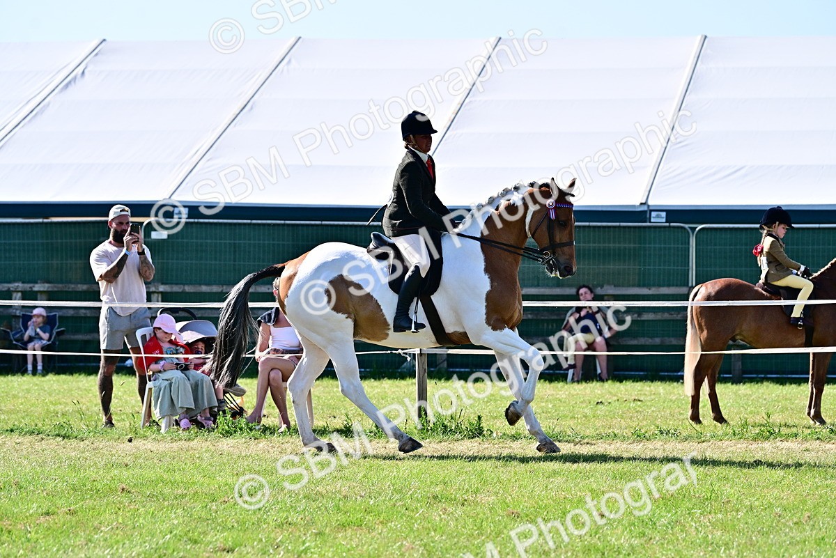 SBM_19531 - Class 101-102 - BSPS LIHS Performance Coloured Horse/Pony