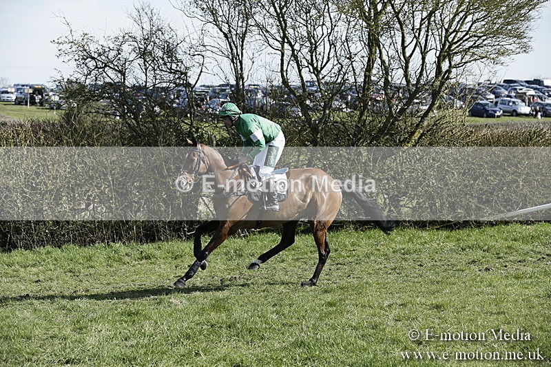 PtP 250317 182 - V.W.H. Hunt Point-to-Point Siddington 25/03/17