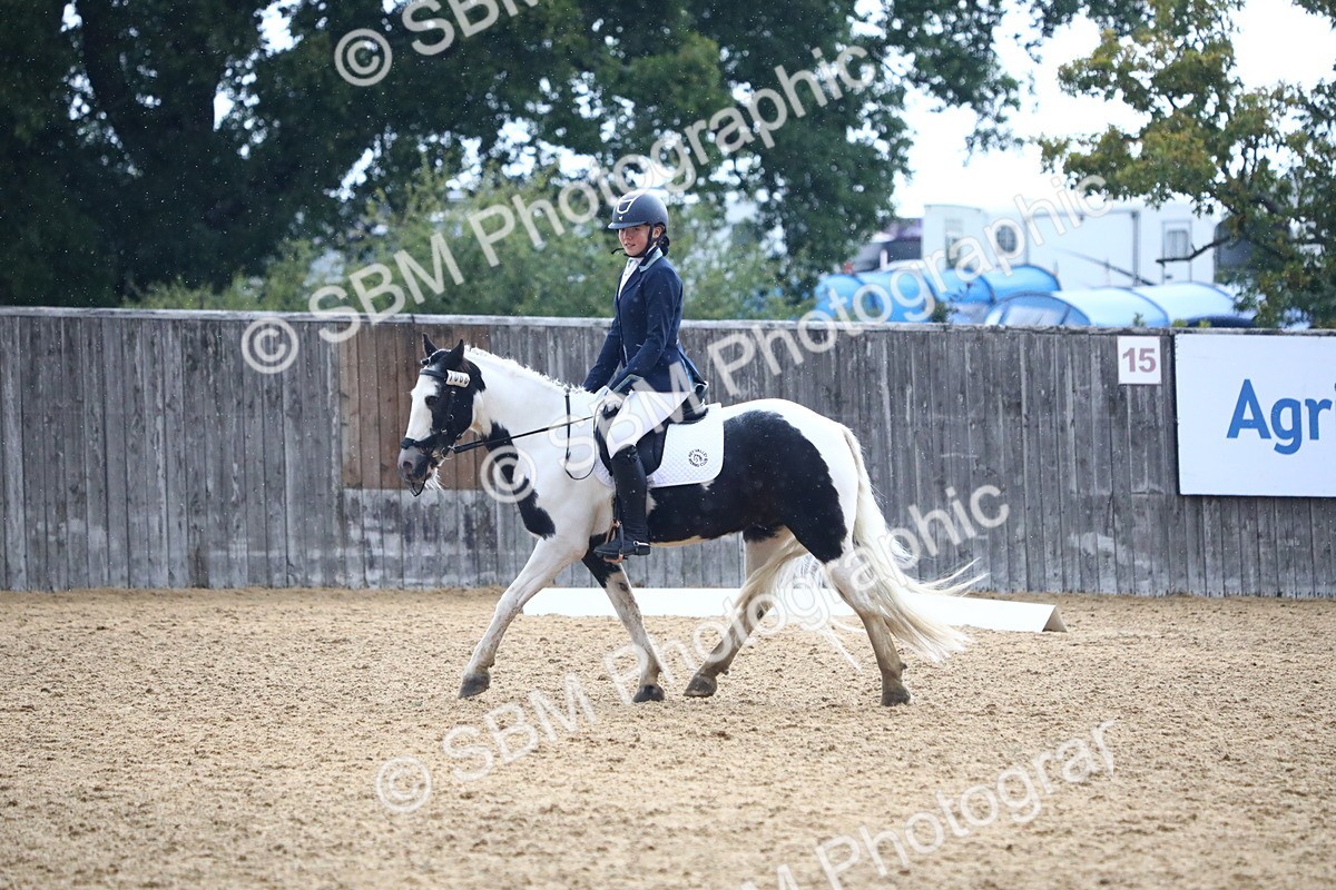 SBM_42792 - D21 - Junior Championship Intro 1