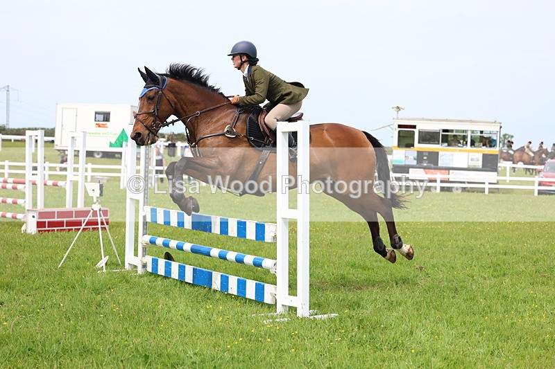 3E7A1620 - Class 13: Senior British Novice/90cm open