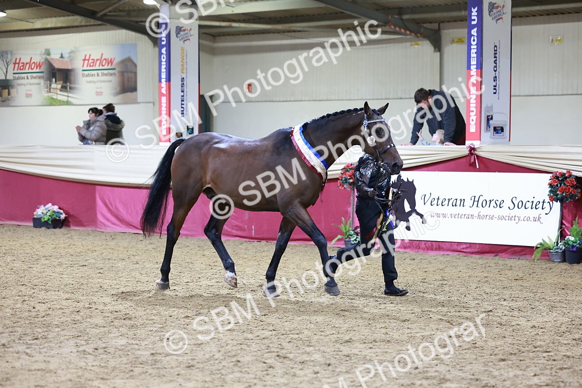 SBM_20648 - Class I - Ridden Pony Champ