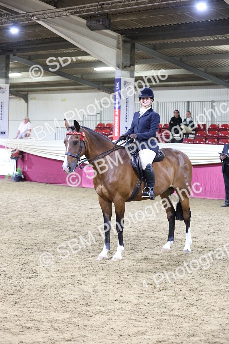 SBM_21185 - class Q - Ridden Horse Champ