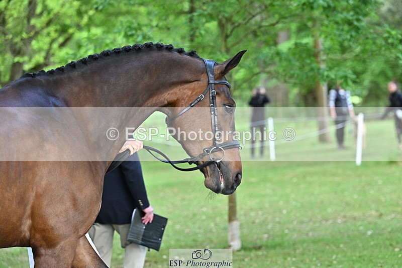 250521A-170257-01491 - C-281-Holly.Morris-NADIR.DE.LEAU