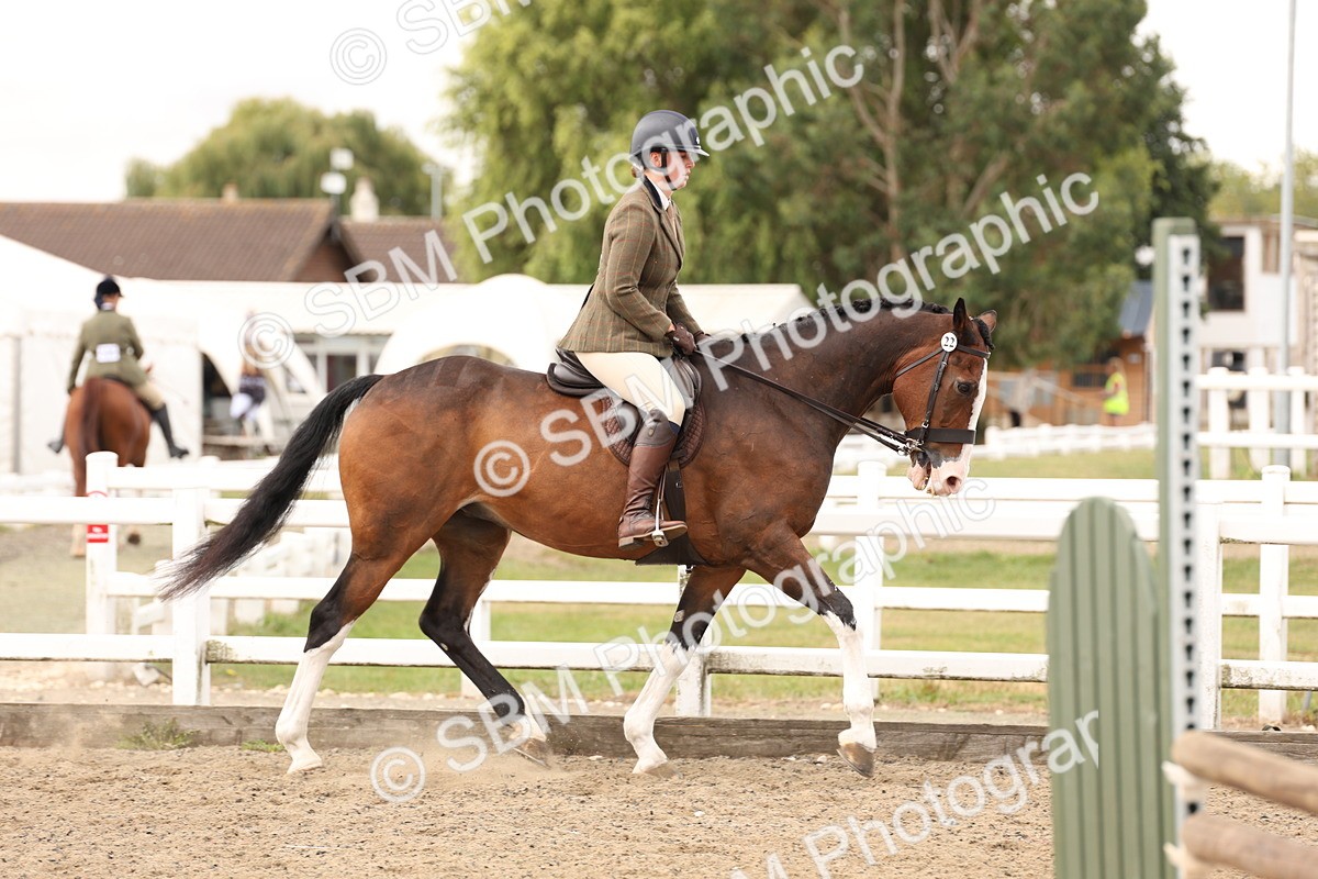 SBM_02876 - Class 53 - Ridden Competition Horse/Pony