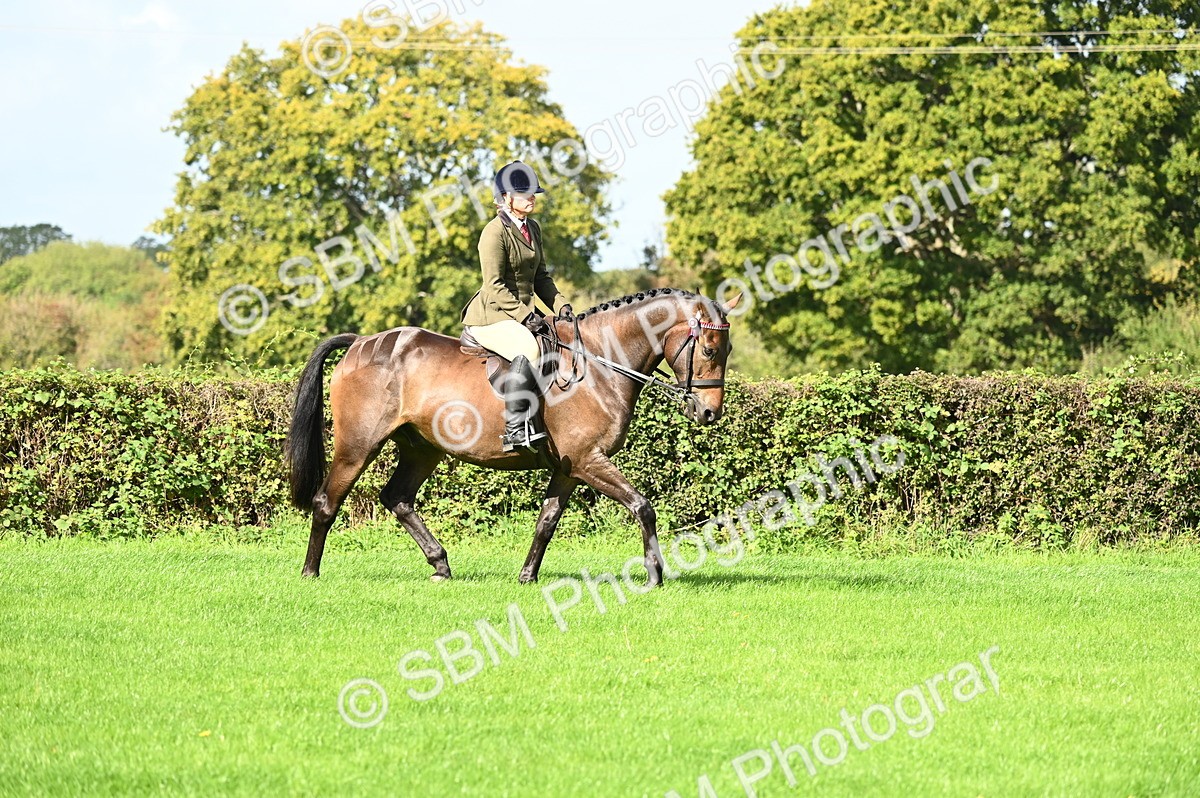 SBM_01752 - S2 - TSR Ridden Horse Showing