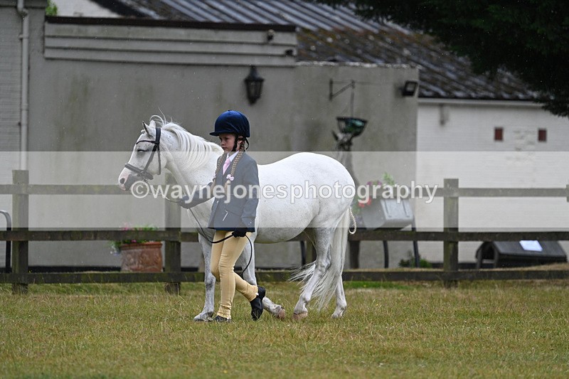 WJ7_5712 - Class 4 Prettiest Mare in Hand