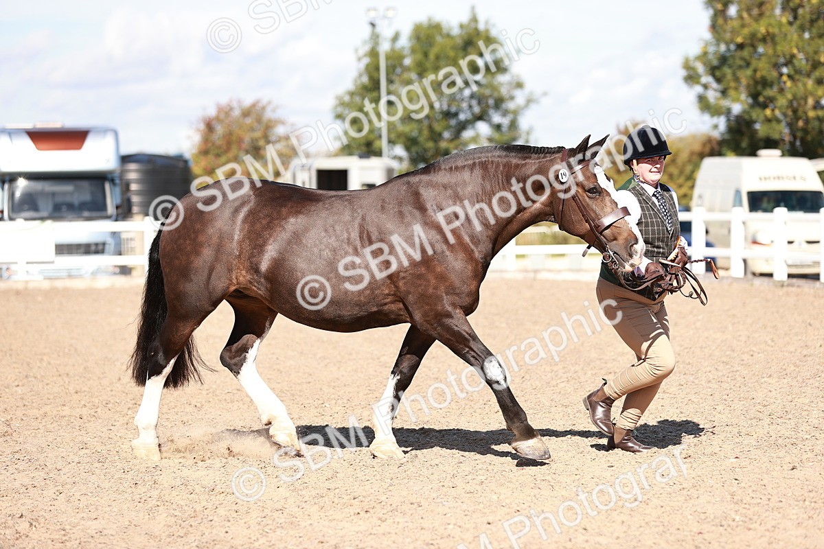 SBM_13258 - Class 405 - IH Show Cob