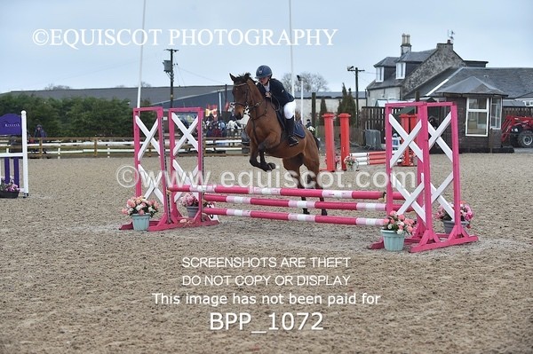 BPP_1072 - CLASS 1 Club/ Unaffiliated 60cms Open