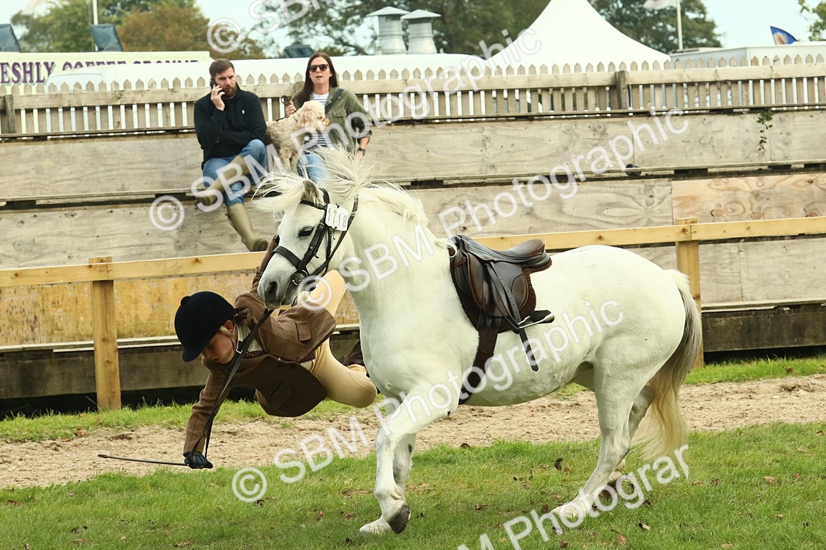 SBM_69934 - S59 - Mountain & Moorland Ridden Small Breeds