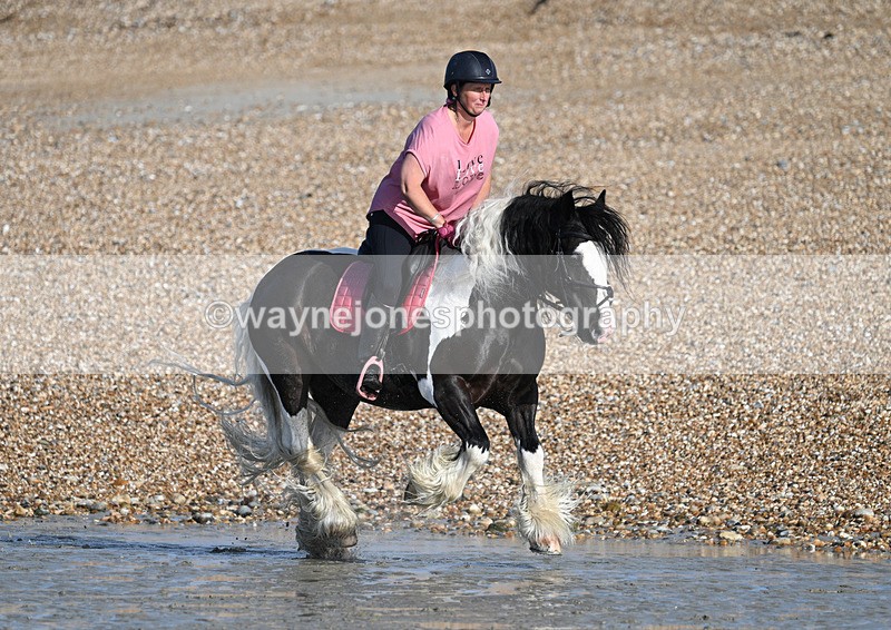 WJ7_3800 - Kellie & Churchill ... do Hayling Island 25-08-24