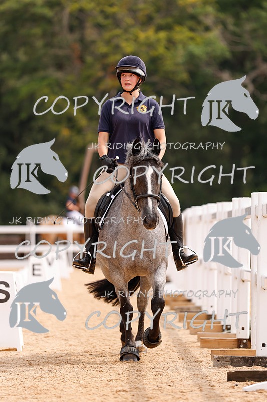 _R6A2842 - Dressage Morning