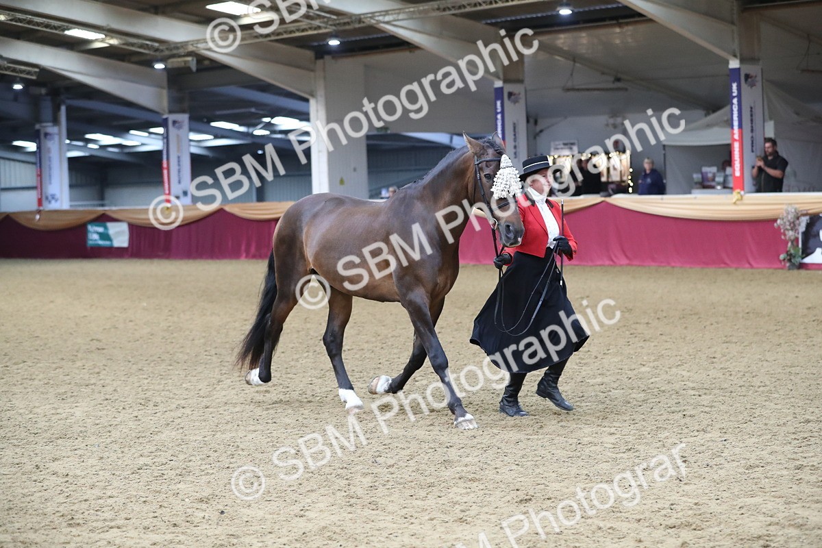 SBM_10806 - Class 103 IH Costume