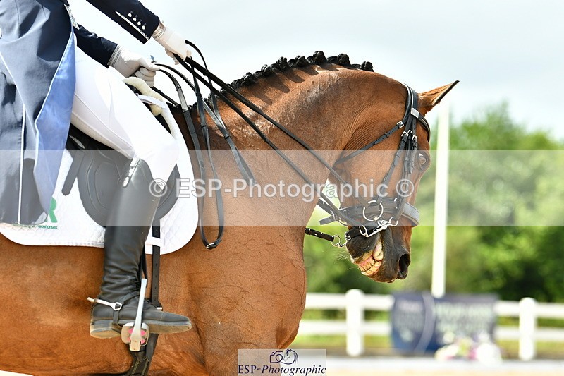 230702A-160709-11106 - Cls 37 + 42 FEI PSG + GP