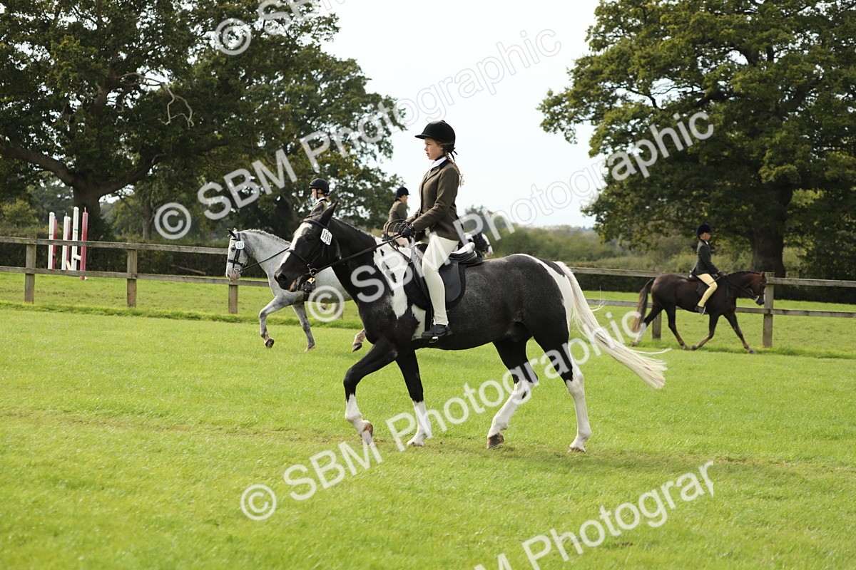 SBM_71497 - S41 - Ridden Equitation (Best Rider)