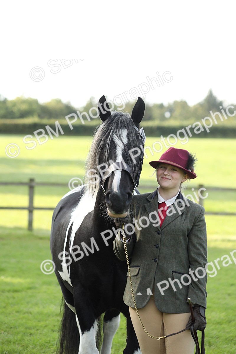 SBM_60958 - S43 - Coloured Pony In Hand
