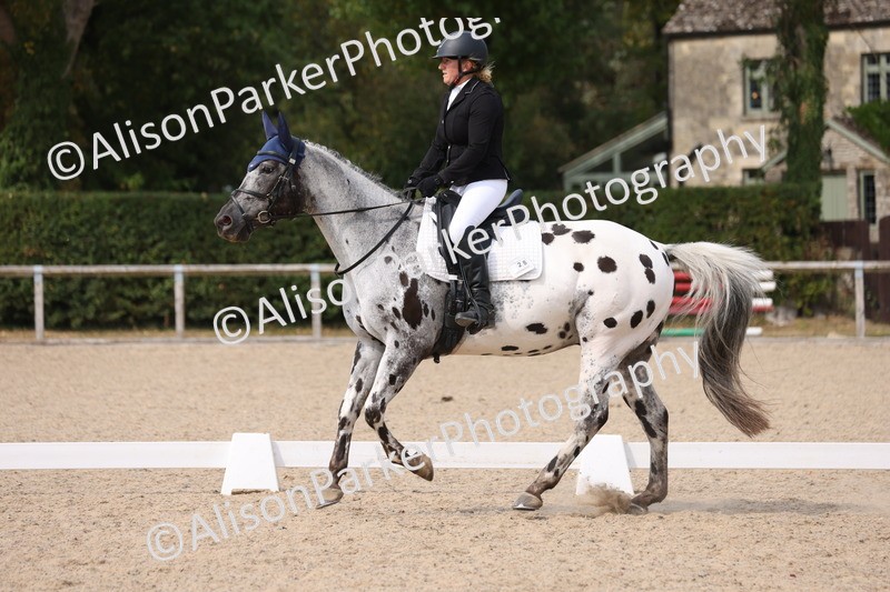 20250819-1602 - Class 5 - Novice 3