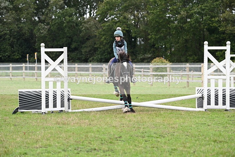 WJ6_0402 - 40cm Time 10:29 to 10:52