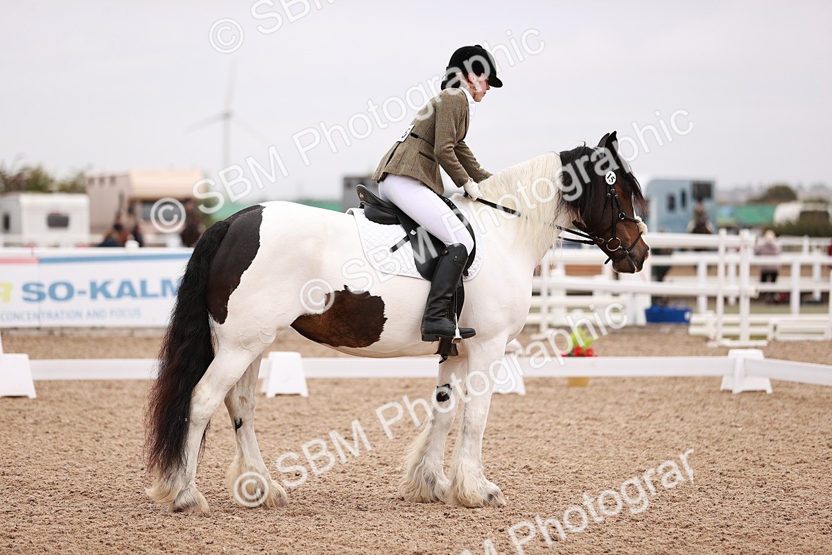 SBM_01717 - Class 34 - Prelim 3