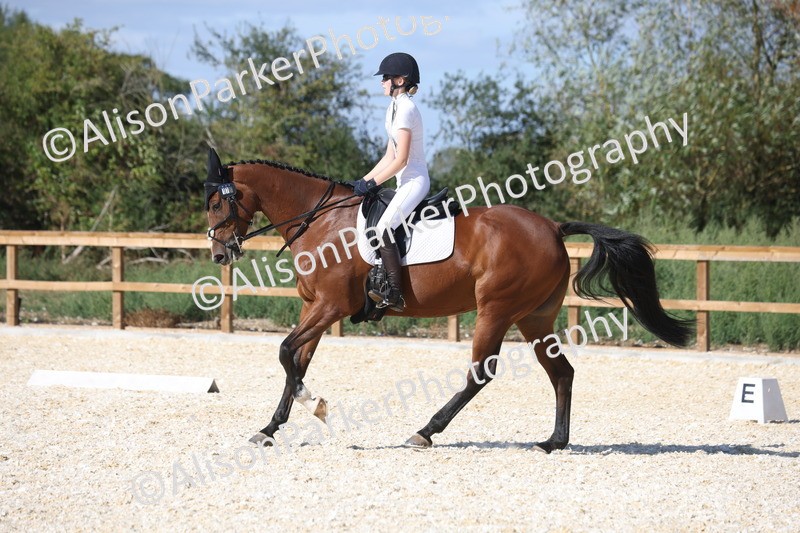 20260905-1524 - Class 5 - Novice 2