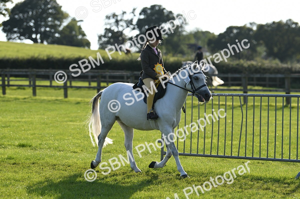 SBM_52476 - S22 - 1st Ridden Show & Show Hunter Pony