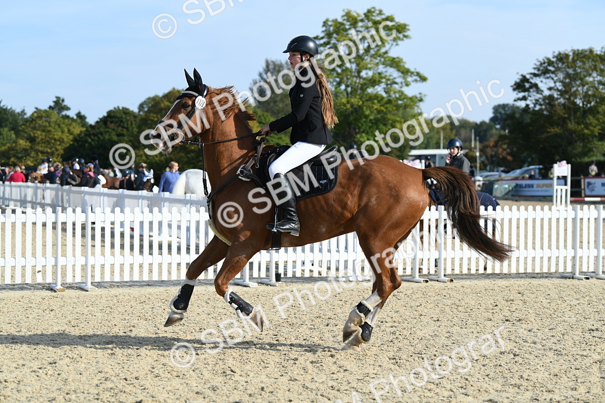 SBM_60553 - j25 - Junior Horse 80cm Championship