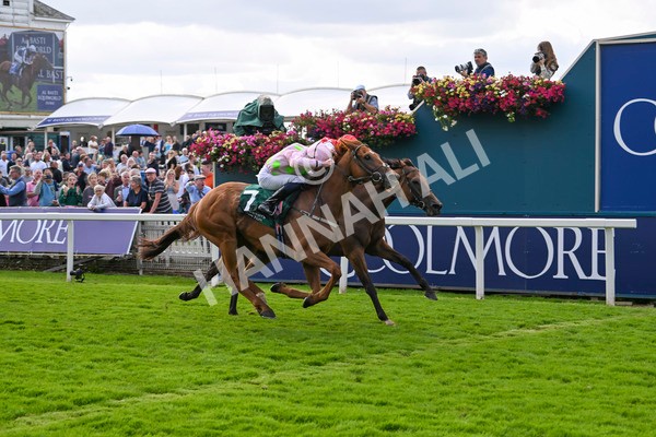 230824-Race 2-Vauban-8951 - Race 2 2.25pm Weatherbys Hamilton Lonsdale Cup Stakes