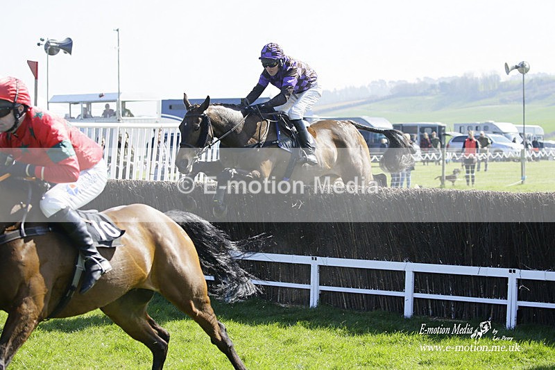 PtP 190322 287 - Wilton Hunt PtP Milborne St Andrew 19/03/22